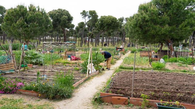 Una familia dona sus tierras para crear un huerto comunitario para sus 560 vecinos: “todo el mundo podrá disfrutarlo”