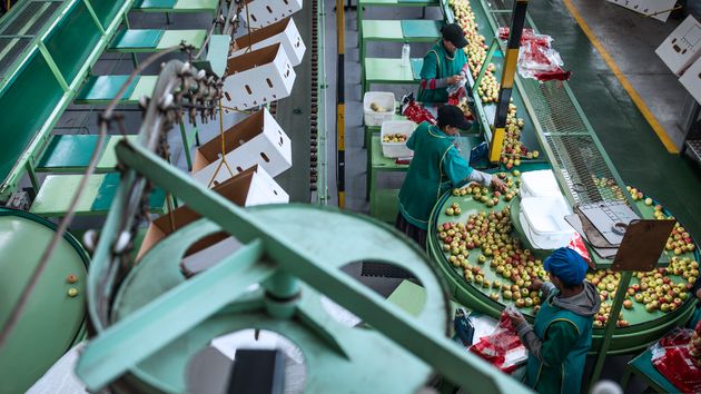 Urgen 150 operarios de producción en Murcia para trabajar en el sector alimentación