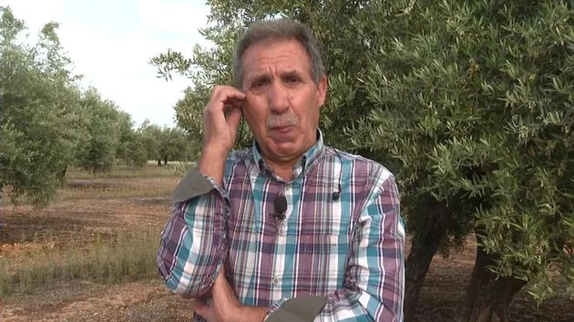 Un agricultor se echa a llorar tras la expropiación de sus tierras y de sus olivos para poner placas solares: "A esto lo llamo yo dictadura"