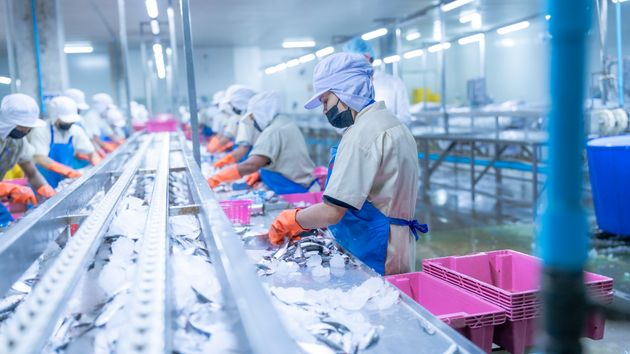 Randstad busca 100 personas para trabajar en el sector del congelado en Pontevedra