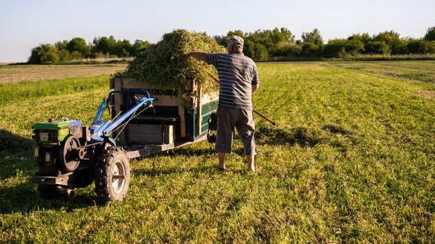 Un agricultor pierde su primera cosecha tras una fiesta 'rave' ilegal en su terreno: 200 personas acamparon finca lista para segar