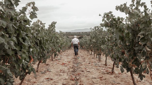 Varios agricultores y ganaderos se rebelan por la creación de un centro de datos cerca de sus tierras: "es nuestro medio de vida"