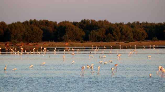 El Corte Inglés reta al Imserso con un viaje de 6 días a Huelva con comidas, excursiones guiadas y seguro por 570 euros