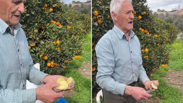 Un abuelo agricultor enseña el mejor truco para sembrar patatas: “Tiene que estar cortada dos o tres días, se remueve en cenizas y se entierra”