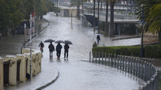 Samuel Biener, meteorólogo de Meteored, alerta sobre el momento más complicado: "Se esperan lluvias de 80 l/m² esta tarde en Cataluña"