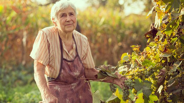 Una agricultora jubilada tiene que trabajar de nuevo porque el arrendatario dejó sus tierras antes de que terminara el contrato: “Hemos perdido 2.000 euros al mes y nuestra tranquilidad”