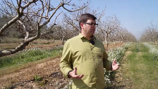 Josep, agricultor: “Un árbol de pistacho da hasta 70 euros al año, pero si tienes una finca de 50 hectáreas puede generar 900.000 euros. A los 10 años recuperas la inversión”