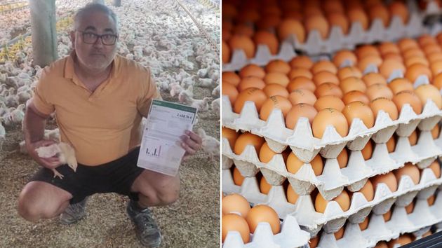 Eloy Ureña, ganadero: "Tenemos 2 millones de gallinas ponedoras menos y el precio ha subido 50 céntimos la docena en el último año"
