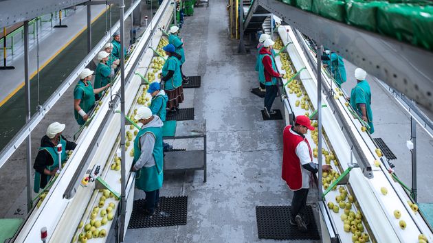 El coste por hora trabajada subió un 5,3% en el primer trimestre del año con 19 trimestres al alza