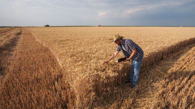 Un agricultor gana a un gigante agrario y logra 21.830 euros de indemnización después de que la compañía le destruyera su cosecha alegando que compró las tierras "libres de arrendatarios"