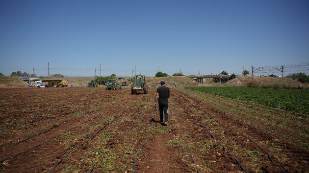 Almería, la más beneficiada de las ayudas para jóvenes agricultores y ganaderos de toda Andalucía