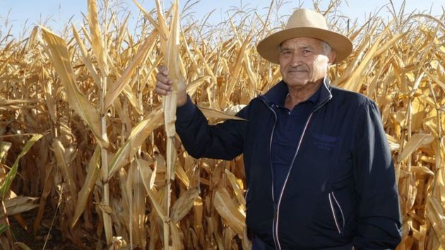 David Chamorro, 70 años, agricultor jubilado: "Mi hija tenía 40 hectáreas de maíz y ha cambiado el dinero; en el campo trabajas mucho y no sacas nada"