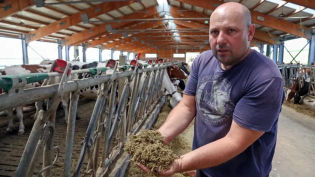 Nelutu Platon, ganadero rumano, sobre el precio de la leche en su país: “Sale de mi granja por 0,38 euros y llega al supermercado por 1,91 euros”