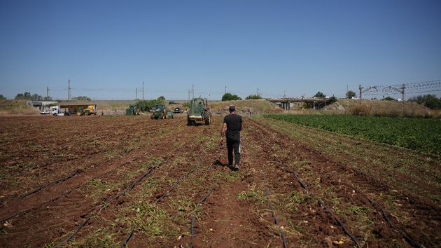 Los agricultores menores de 40 años pueden ganar hasta 4.000 euros y un viaje a Bruselas con el premio ‘Joven Agricultor’ de ASAJA