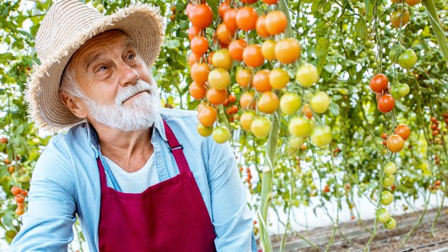 Andrés Góngora, agricultor: "En España la jornada de trabajo cuesta 90 euros cuando en Marruecos son 8 euros, es imposible competir"