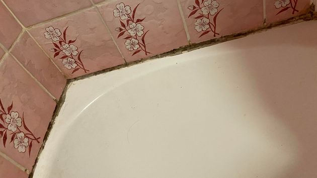 Cómo eliminar el moho de la masilla del baño para siempre y sin usar lejía