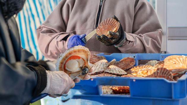 Urgen 200 personas para trabajar en el sector alimentación en Barbanza y Salnés a jornada completa de lunes a viernes