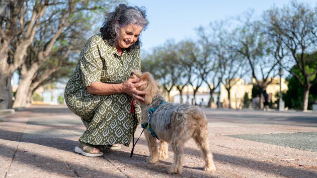 Un mujer de 64 años reclama 94.000 euros al Ayuntamiento tras caerse en un pipican al pisar un agujero: la justicia rechaza indemnizarla porque los agujeros en estas zonas para perros son previsibles