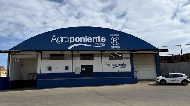 Agroponiente espera cerrar esta campaña agrícola con un crecimiento récord y marca un nuevo reto: llegar a los 800 millones