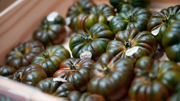 Asaja Almería cifra en 3.916 millones el valor de la campaña hortofrutícola 2025-2026 pese a la bajada de producción