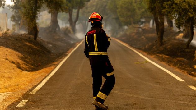 Cuánto cuesta ser bombero en España: “La mayoría piensa que solo hace falta estudiar y entrenar para ser bombero, pero prepararte puede costar entre 13.000 y 20.000 euros”