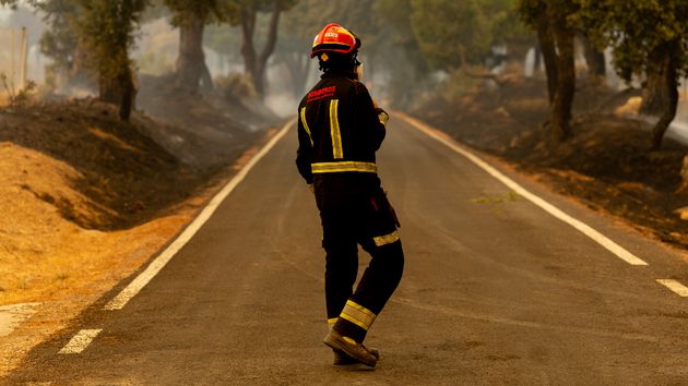 La viuda de un bombero de la Diputación logra una indemnización de 298.980,80 euros por contraer un mesotelioma letal derivado de su exposición al amianto debido a la falta de medidas preventivas