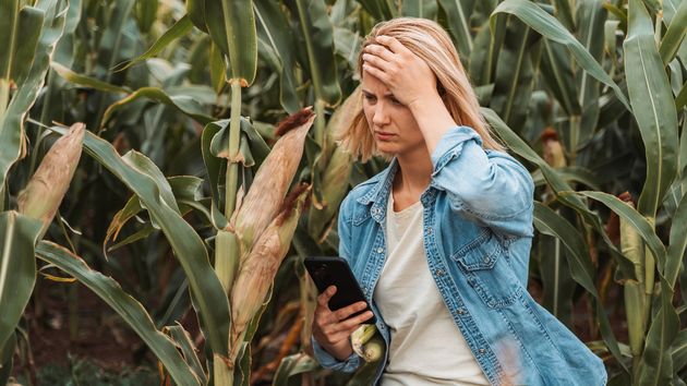 Le retiran 70.000 euros de la ayuda de Joven Agricultor tras perderse 20 minutos buscando su propia finca y descubrirse que además tenía una farmacia