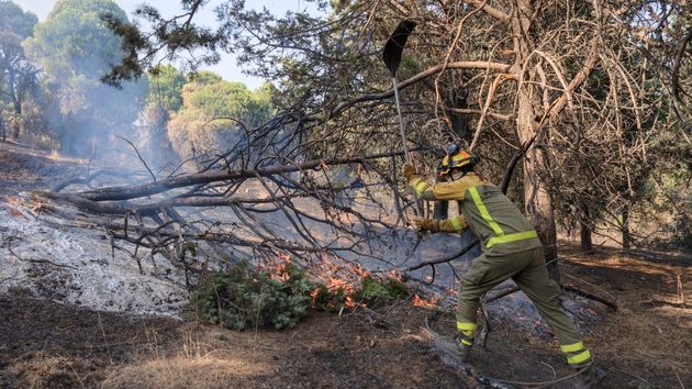 Un bombero tras los incendios en España: “Cobramos 1.150 euros y podemos llegar a 1.300 por las horas de peligrosidad en incendios. Los sueldos son miserables”