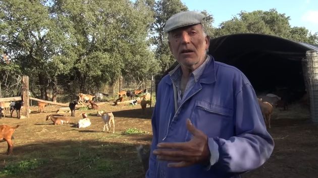 Una empresa ganadera familiar que tiene 1.500 cabras: "Los jóvenes prefieren ir a buscar un sueldo que estar con esto para luego sacar muy poco"