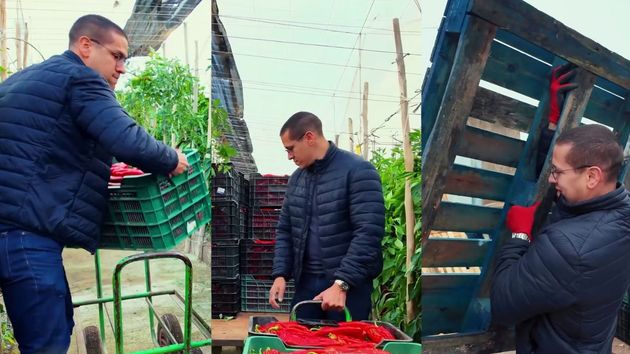 Trabaja durante 9 horas en un invernadero y revela cuánto cobra: “Hoy te has ganado 63 euros”