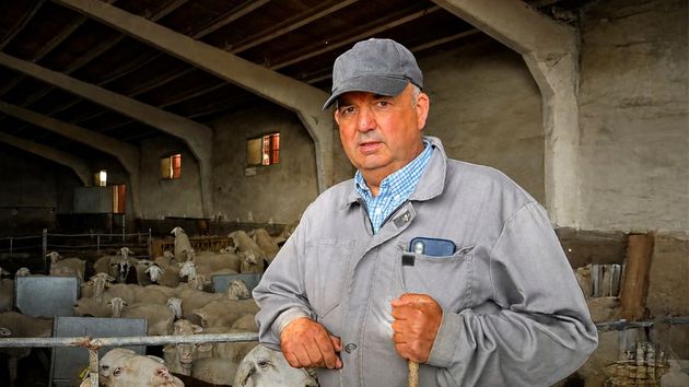 Jesús, pastor de ovejas, sobre la solución para los incendios: “Un ganado de ovejas, cabras o vacas limpia mucho más que 100 personas. ¿Qué coste tienen esas 100 personas limpiando un monte?”
