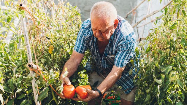 Un agricultor de 93 años deja a su sobrino una finca de 3 millones de euros y cambia el testamento cuando ya podía padecer demencia: acusan a su hermano sacerdote de influir en la decisión