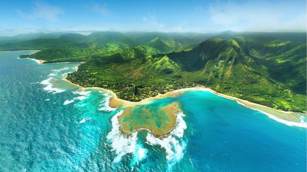 Buscan voluntarios que quieran vivir gratis en una isla de Hawai trabajando 20 horas a la semana cuidando cerdos