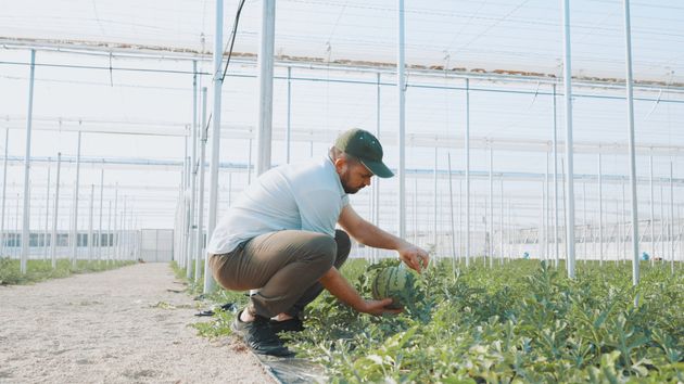 Llamamiento a las empresas agrarias de Almería: AERAL ofrece 25 candidatos formados listos para incorporarse al mercado laboral