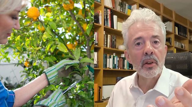 Natalio Valenzuela, abogado: “No puedes apropiarte de los frutos del árbol ajeno por mucho que las ramas invadan tu terreno”
