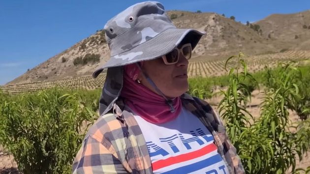 Luisa, agricultora en un pueblo de Murcia: “Es mejor vivir aquí. Un piso de 4 habitaciones vale 450 euros y al mes gano 1.300”