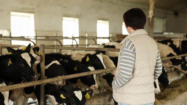 Una peón agrícola demanda a su empresa por no mantenerla en el puesto tras recibir una incapacidad permanente: costaba un millón adaptarlo