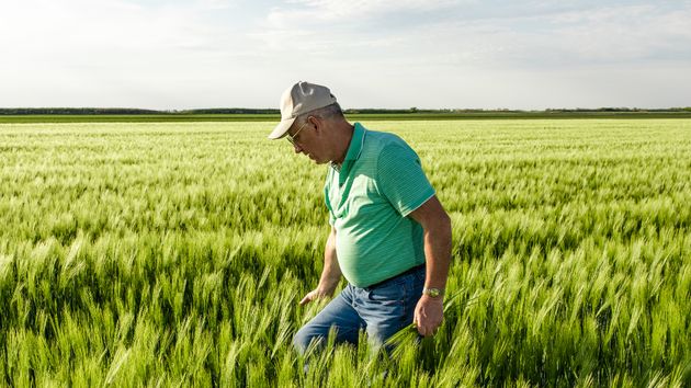 Un agricultor de 48 años rechaza 320 millones a cambio de vender sus tierras a una inmobiliaria: “espero hablar en nombre de muchísima gente cuya calidad de vida se vería mermada”