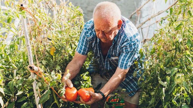 Un agricultor de 79 años cree que sus hijas quieren robarle la finca y cambia el testamento para dejarles menos herencia: la Justicia lo anula por sus delirios