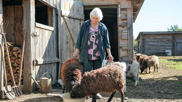 Una mujer de 80 años pone una puerta para que no escapen sus ovejas, sus vecinos la denuncian porque les dificulta maniobrar y terminará pagando 117.000 euros