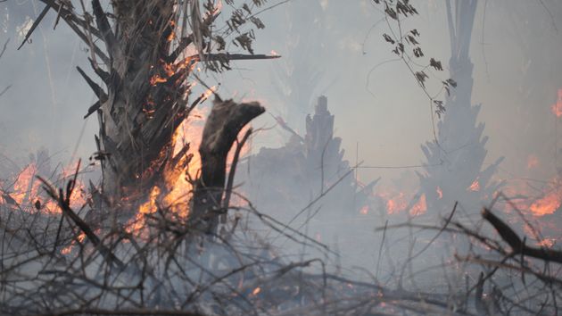 Se buscan voluntarios para recuperar las zonas arrasadas por el fuego en esta bonita localidad