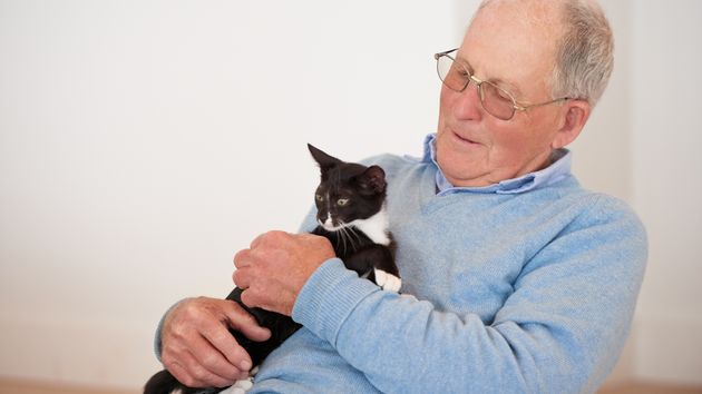 Un hombre de 82 años ofrece toda su herencia, incluida su casa, al desconocido que acepte cuidar de su gata hasta que muera