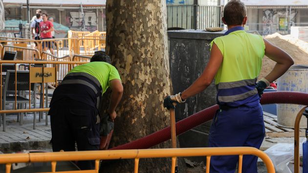 Trabajo confirma que el número de trabajadores afectados por despidos colectivos ha subido un 9,8%