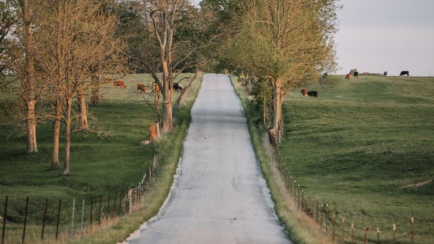 Un agricultor gana al ayuntamiento la pelea por un camino que está en su finca desde hace casi 200 años: el consistorio quería considerarlo público