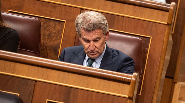 Alberto Núñez Feijóo serio en el Congreso