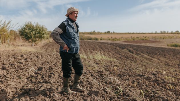 Un agricultor en una finca 