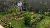 Un hombre cultivando un huerto en su jardín 