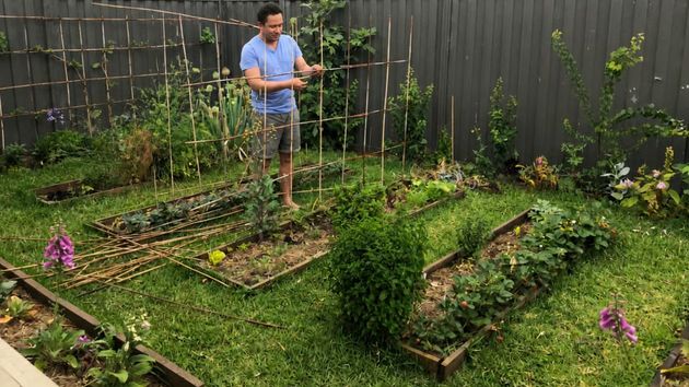 Un hombre cultivando un huerto en su jardín 