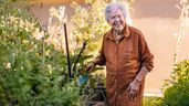 Imagen representativa de una mujer cuidando su jardín