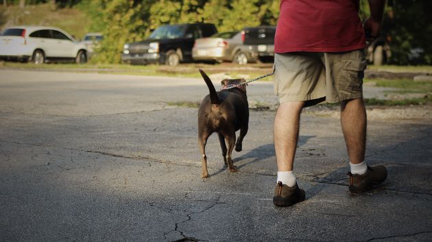 Un hombre paseando a su perro 
